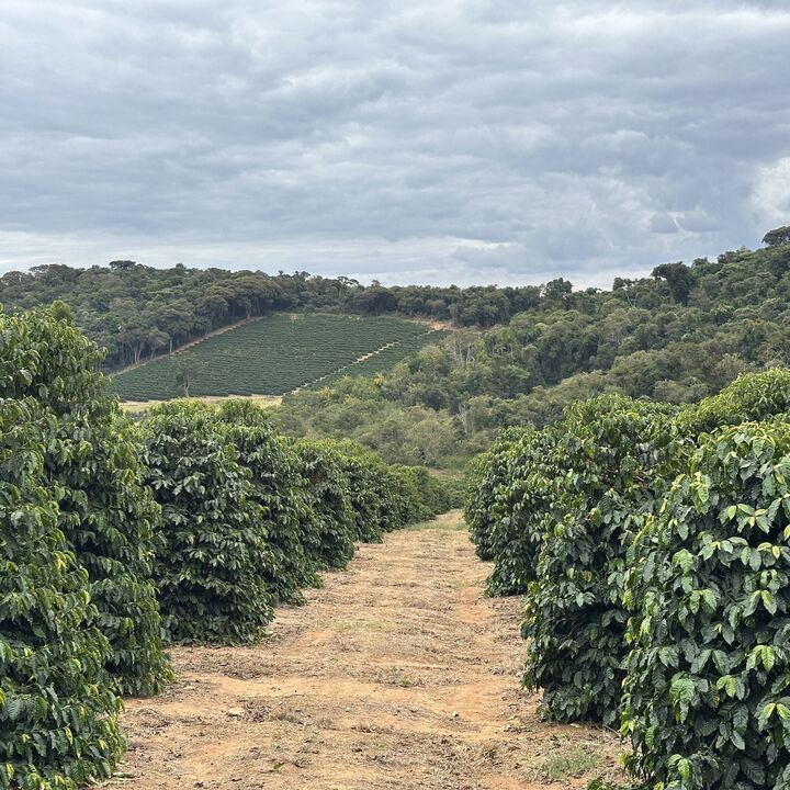 Brazil Vinte Sitio Penha (1).JPG