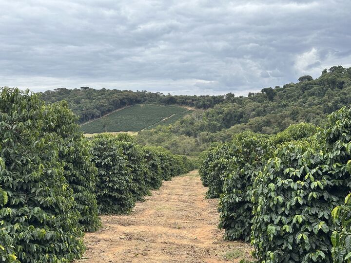 Brazil Vinte Sitio Penha (1).JPG