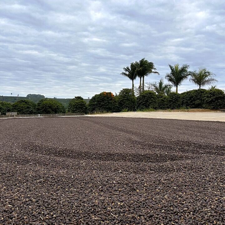 Brazil Vinte Sitio Penha (15).JPG