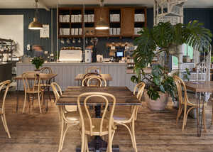 A cozy café with wooden tables, chairs, and a green plant, featuring a coffee counter.