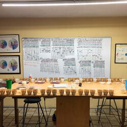 CofM cupping.jpg