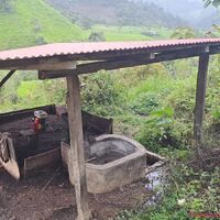 ENTREGA DE TECHOS PARA COMPOSTERAS 2.jpeg