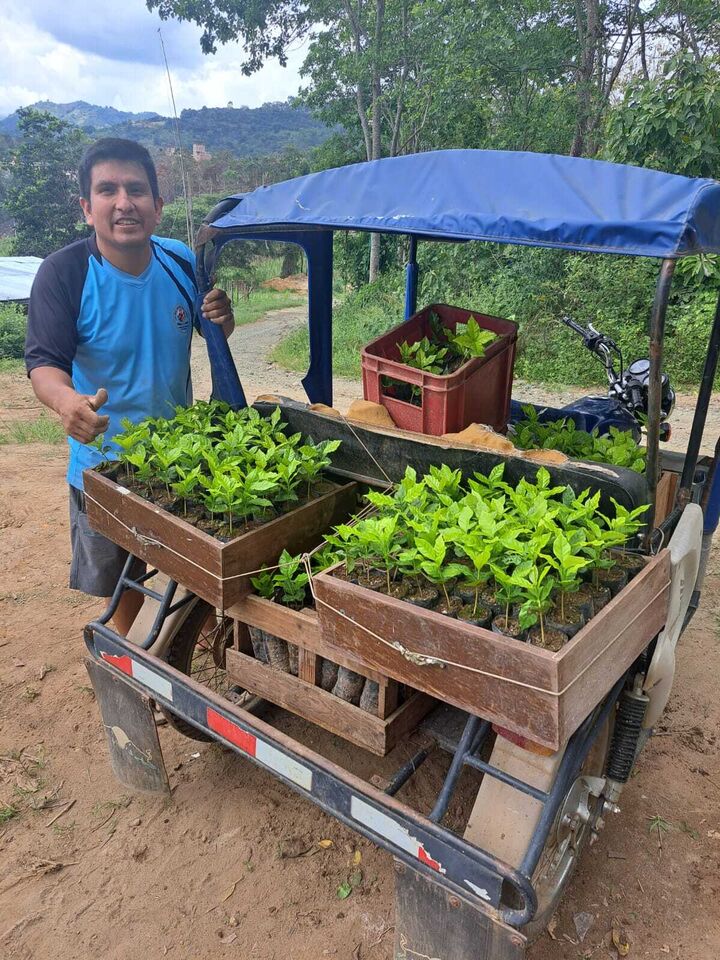 ENTREGA DE VARIEDADES DE CAFE.jpeg