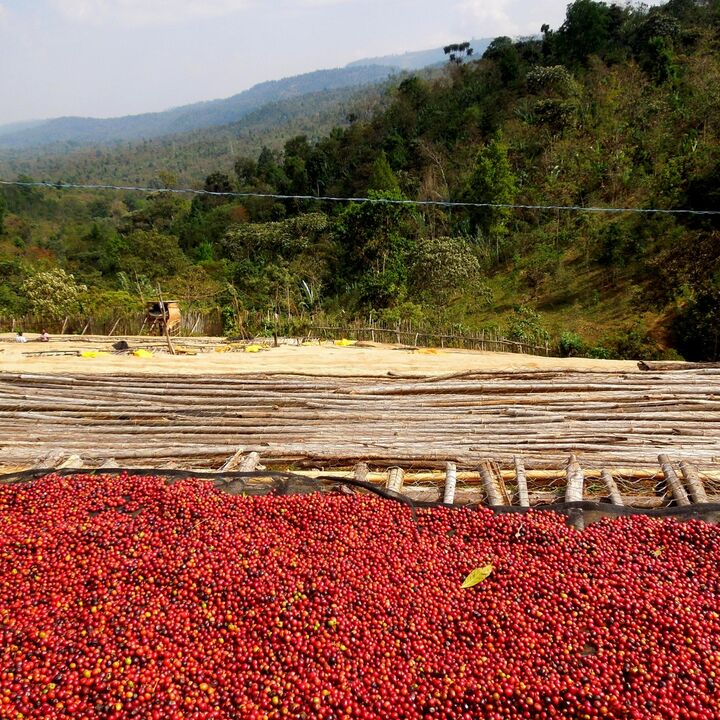 Ethiopia Dumerso .JPG