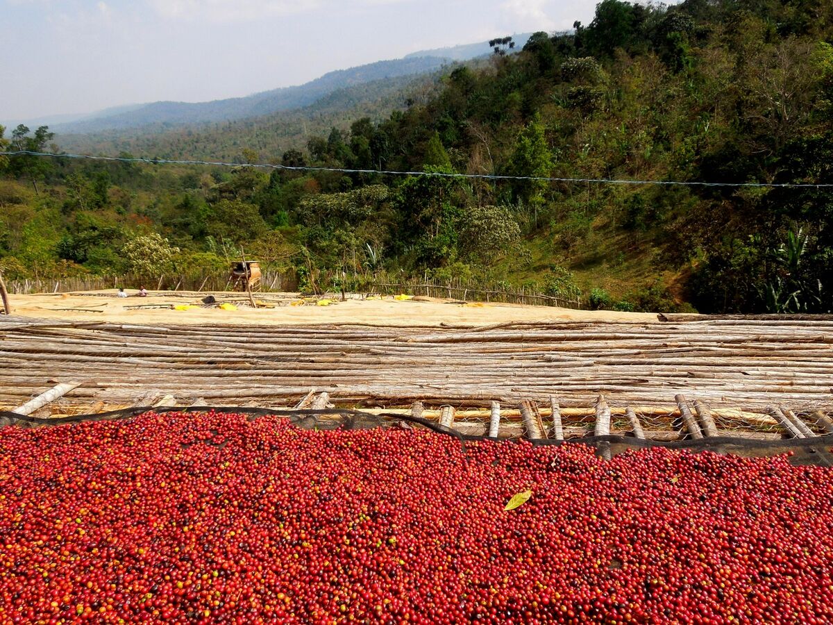 Ethiopia Dumerso .JPG