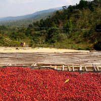 Ethiopia Dumerso .JPG