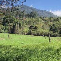 grass they spray waste honey water on.JPG