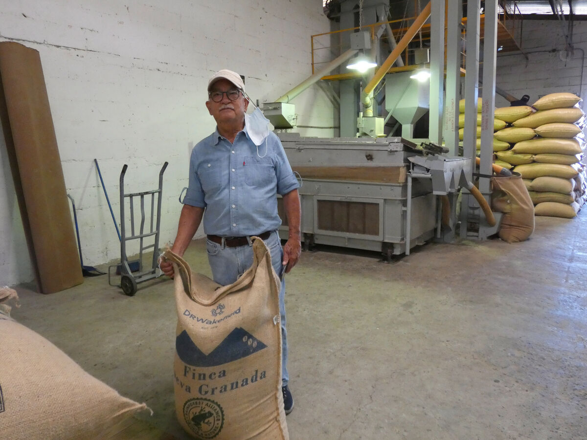 Gustavo Herman, Nueva Granada Landscape.jpeg