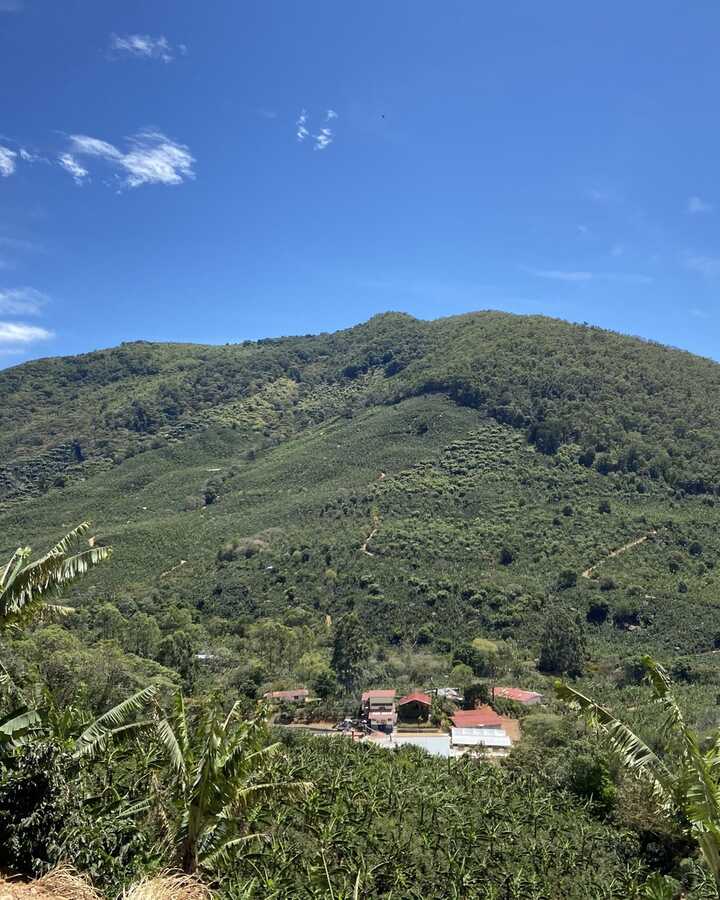 Lush green mountains under a clear blue sky with a few clouds.