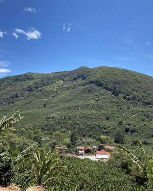 Lush green mountains under a clear blue sky with a few clouds.