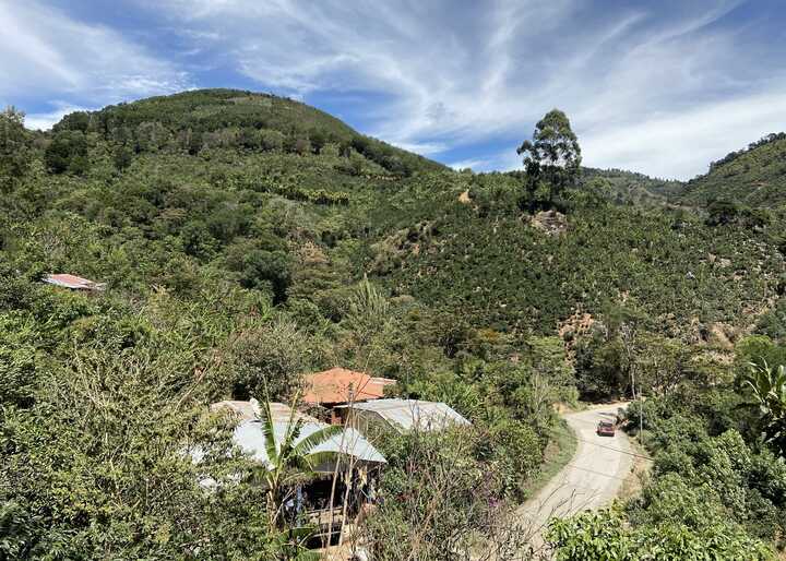 A person pouring coffee beans from one hand into a roasting machine.