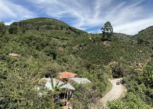 A person pouring coffee beans from one hand into a roasting machine.