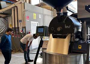 A person pouring coffee beans from one hand into a roasting machine.