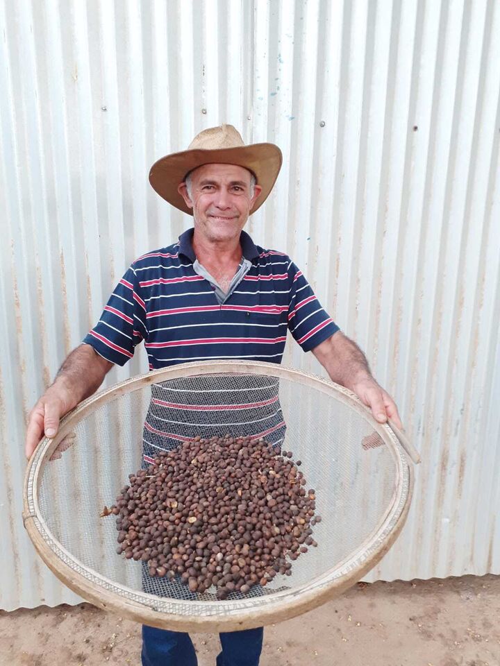 NIVALDO JOSÉ DA SILVA 2.jpeg