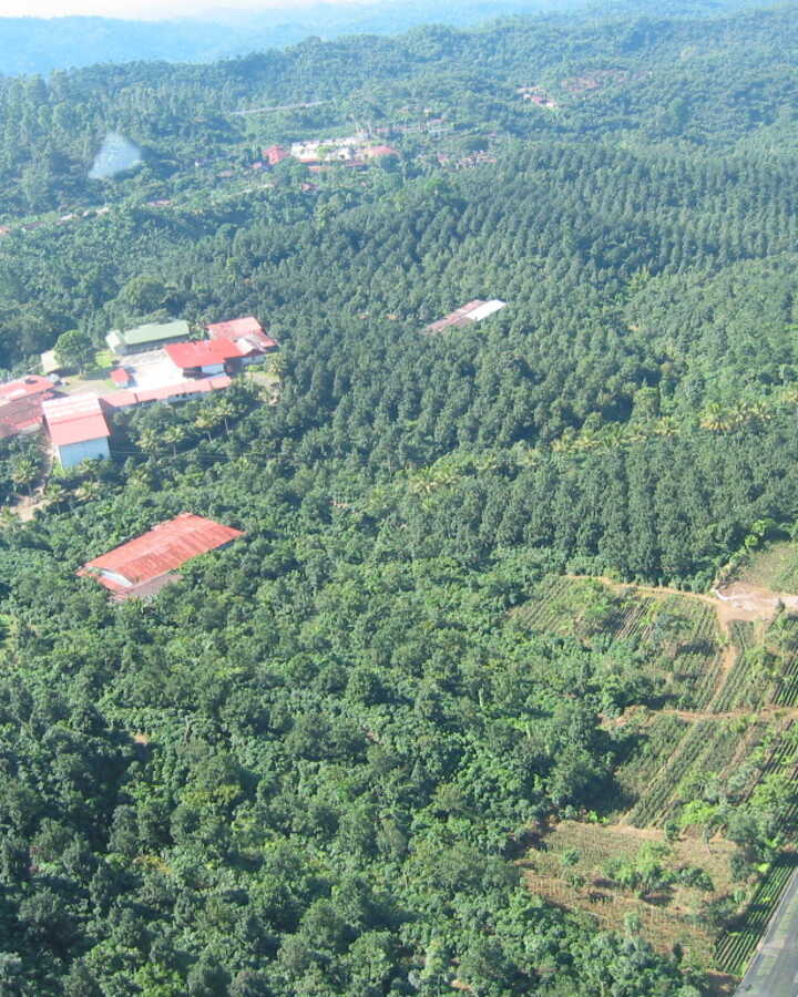 Lush green mountains under a clear blue sky with a few clouds.