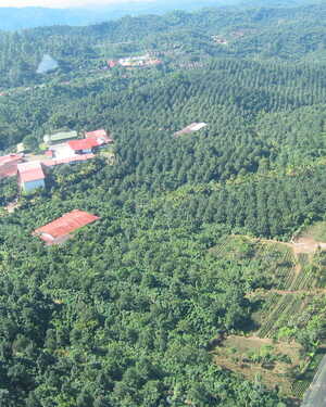 Lush green mountains under a clear blue sky with a few clouds.