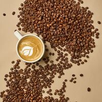 cup_beans_flat.jpg