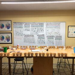 CofM cupping.jpg