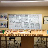 CofM cupping.jpg