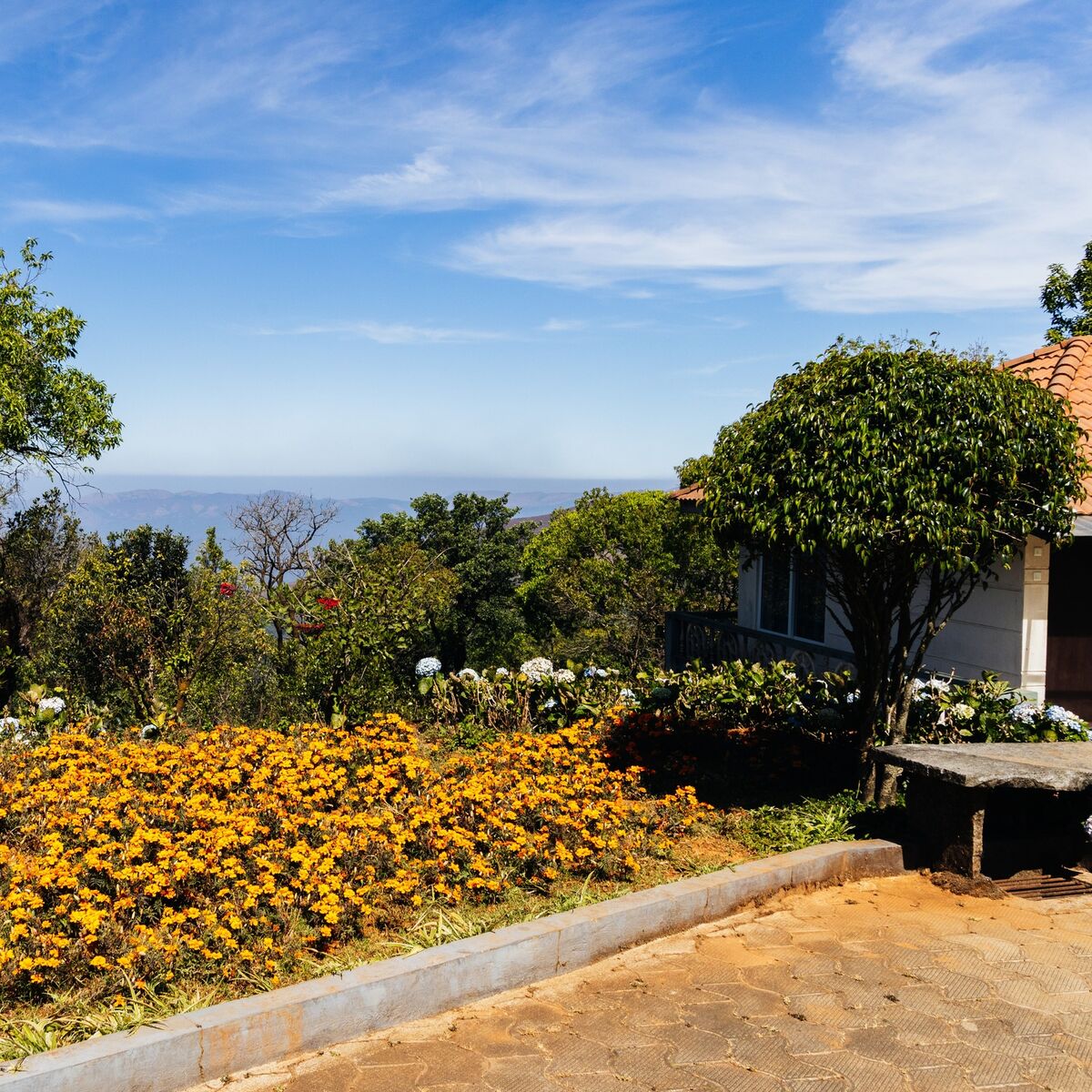India, Devarkhan Estate (74).jpg