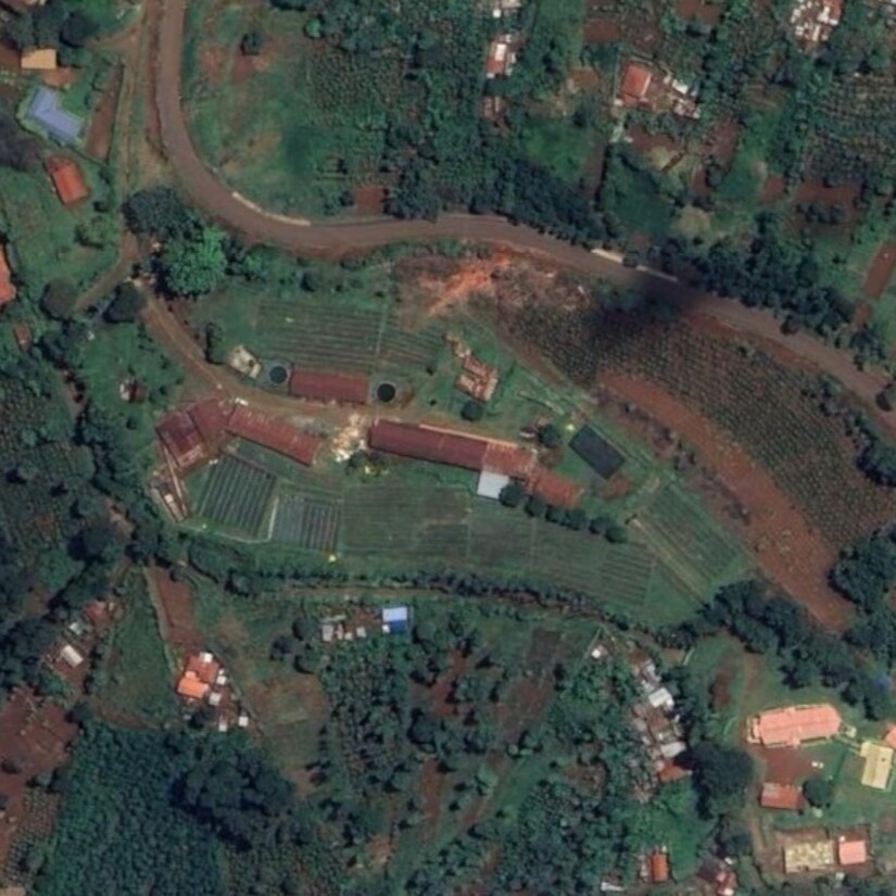 Thunguri Coffee Factory Kenya[53].jpg