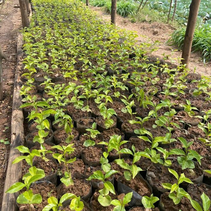 WhatsApp Image 2022-02-07 at 15.02.44.jpeg