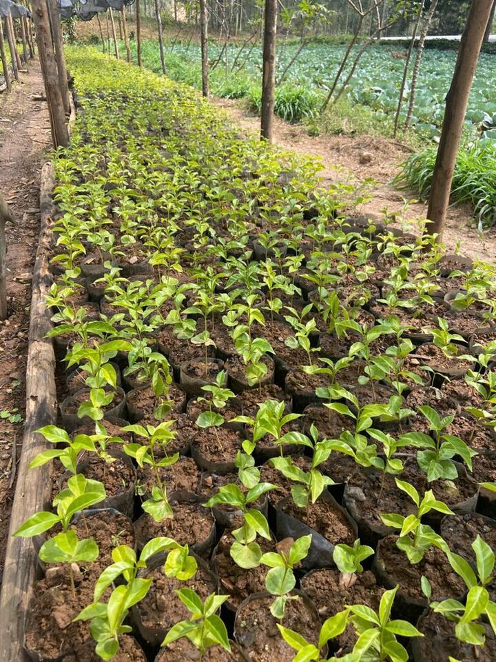 WhatsApp Image 2022-02-07 at 15.02.44.jpeg