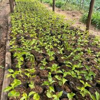 WhatsApp Image 2022-02-07 at 15.02.44.jpeg